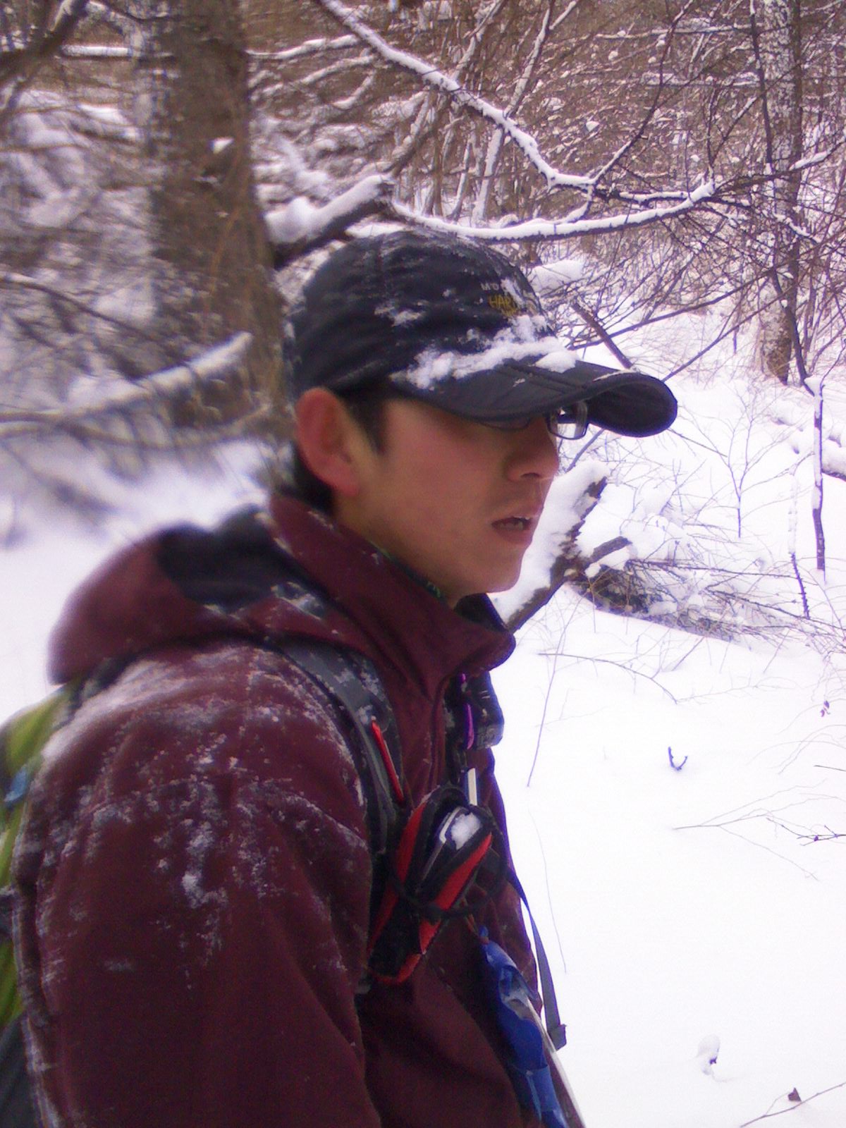 IMG0071A.jpg