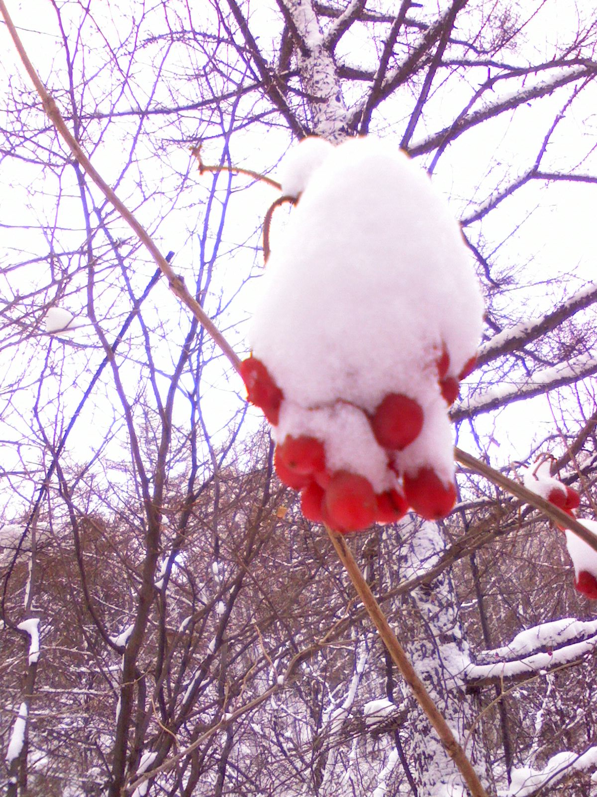 IMG0075A.jpg