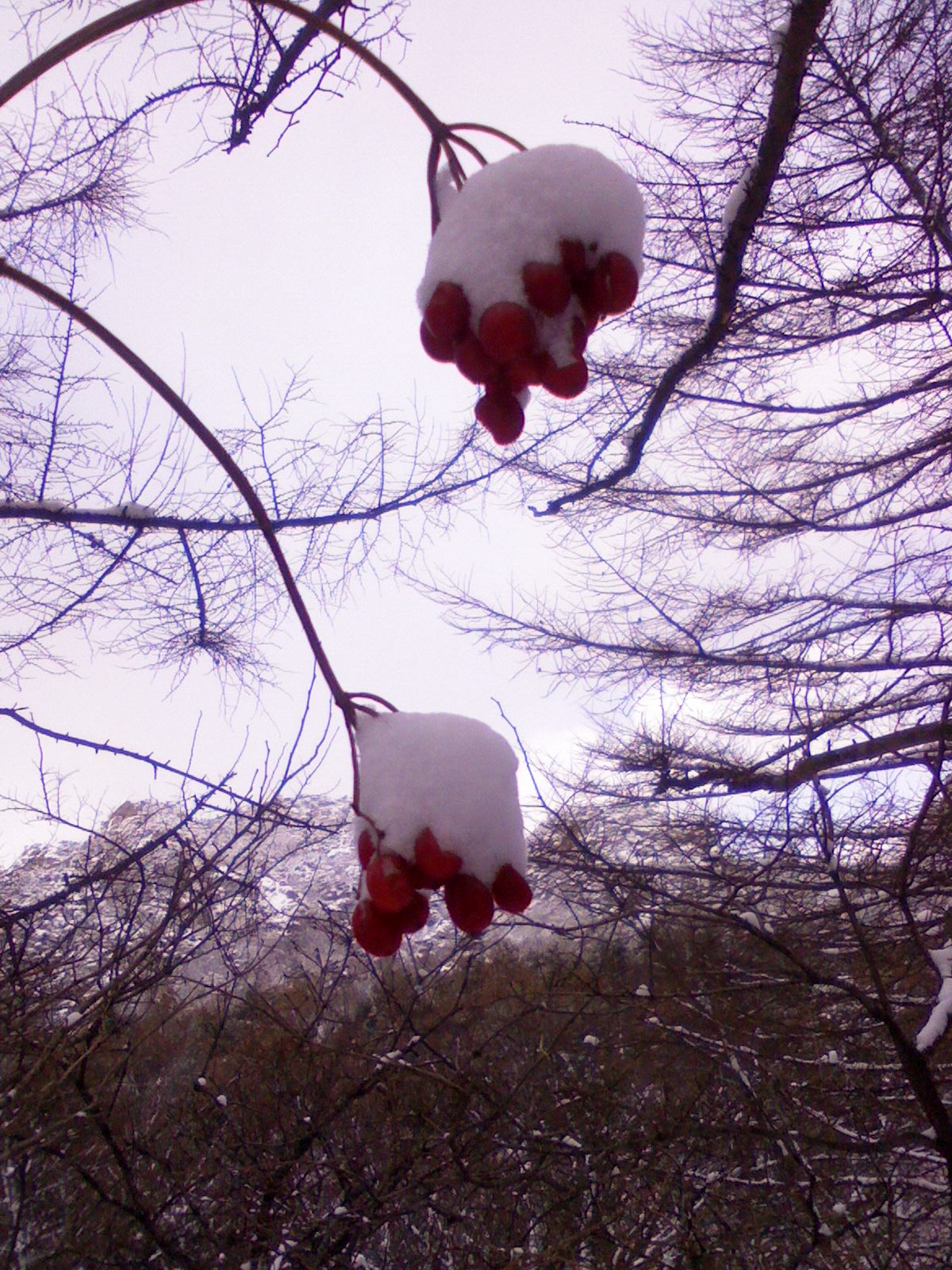 IMG0077A.jpg