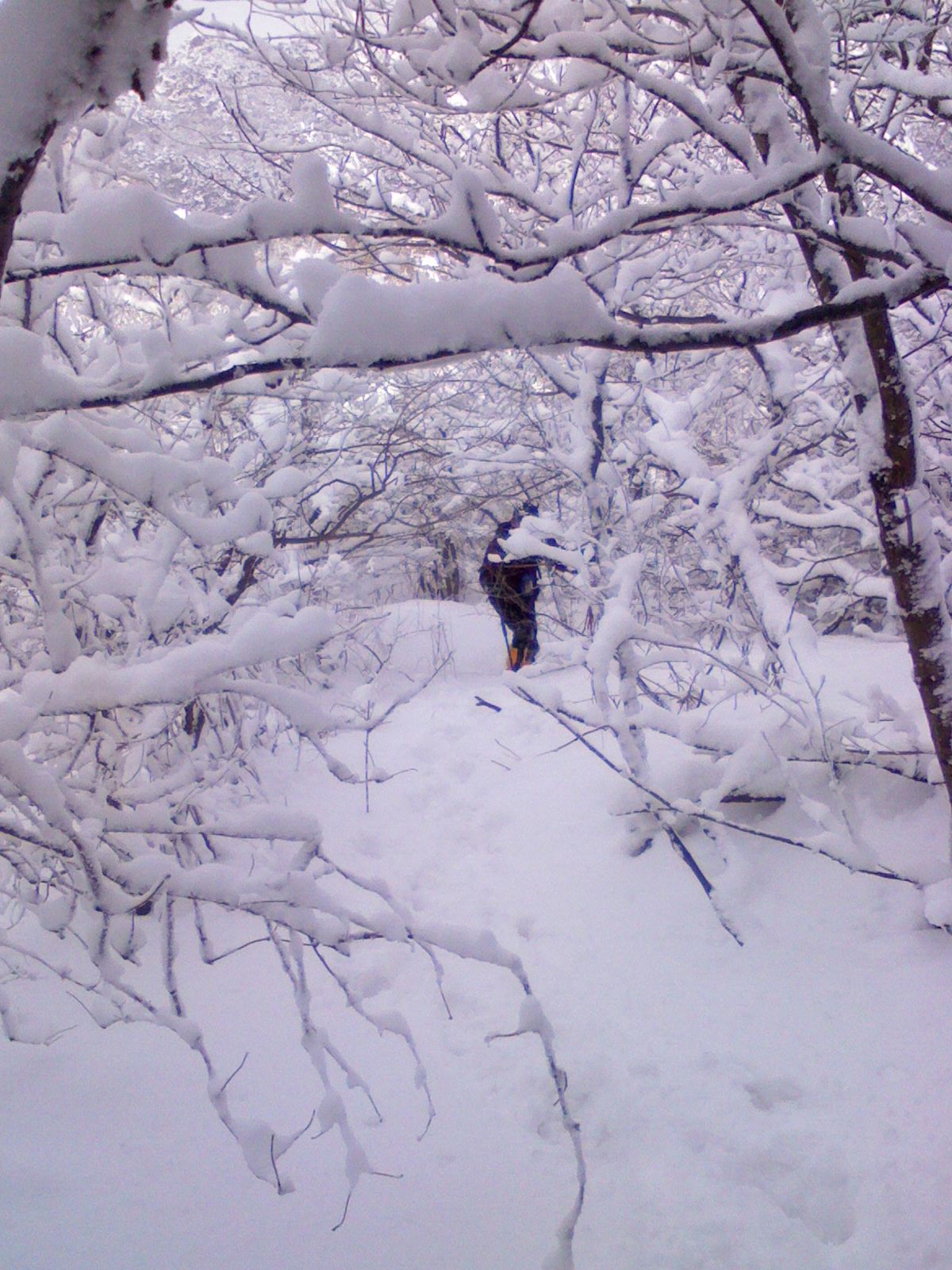 IMG0084A.jpg