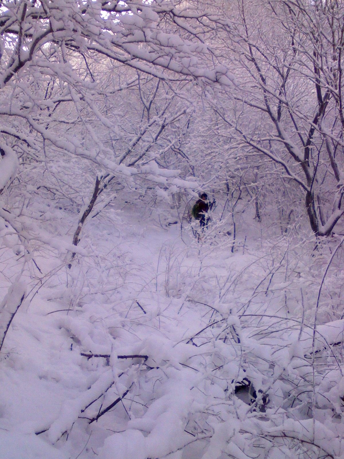 IMG0085A.jpg