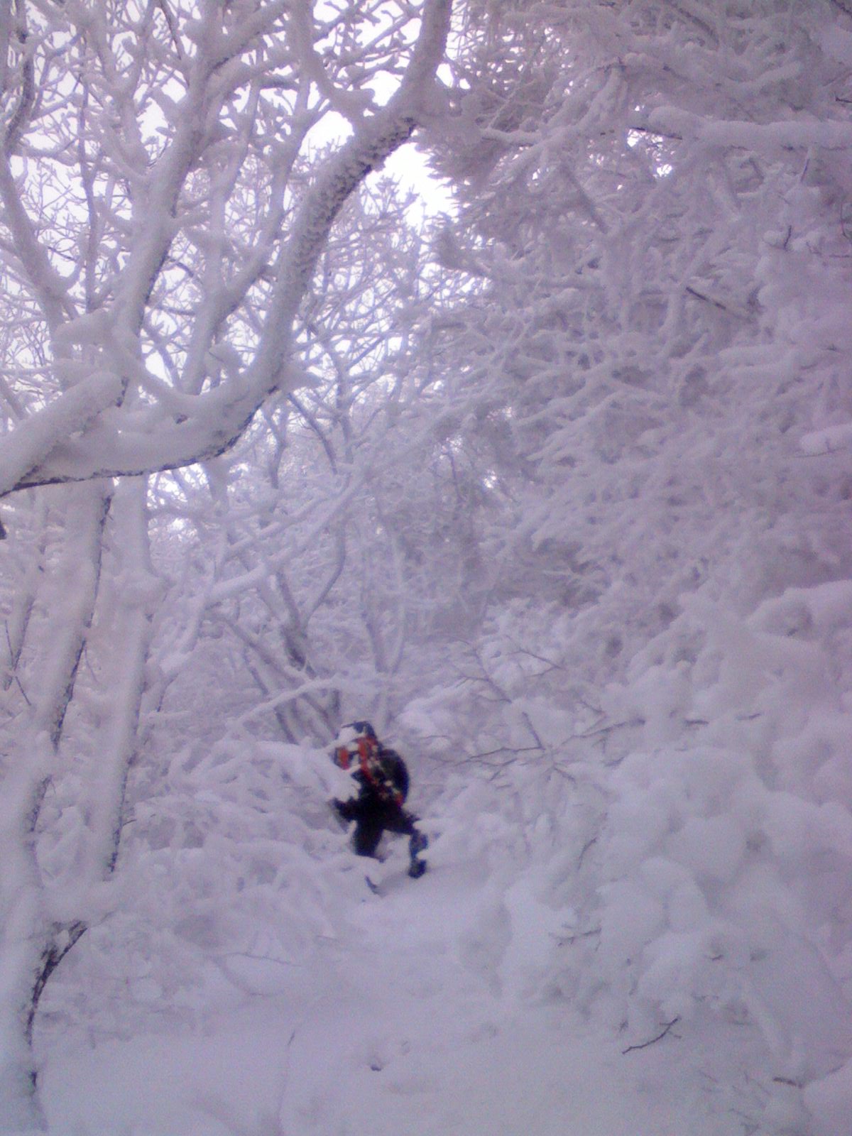 IMG0089A.jpg