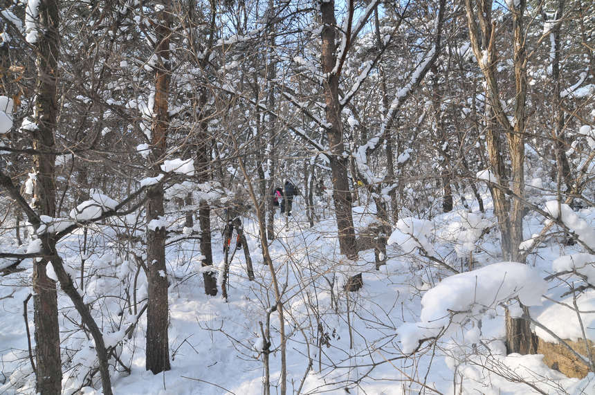 DSC_0998.jpg