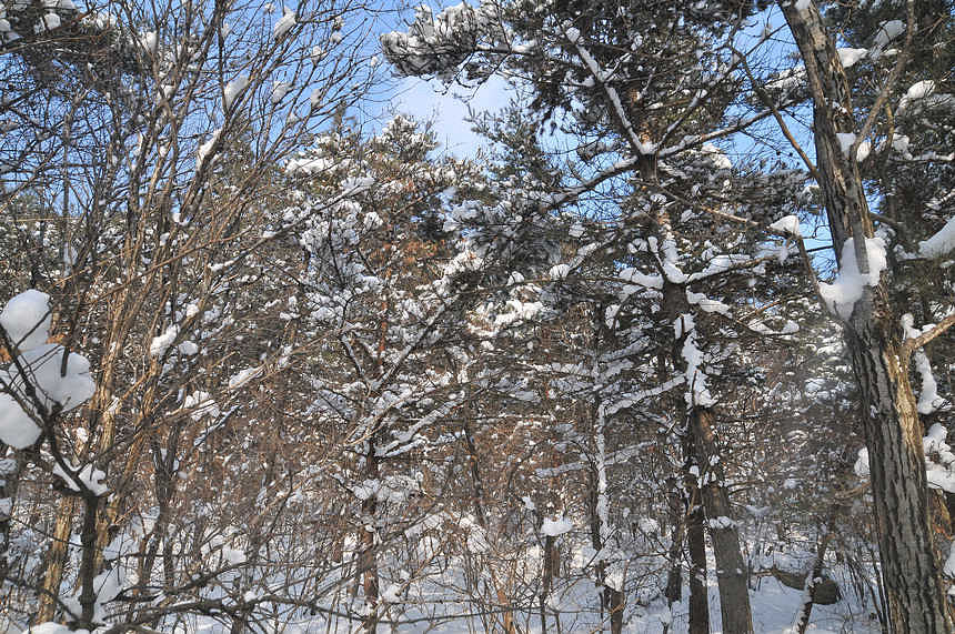 DSC_1001.jpg