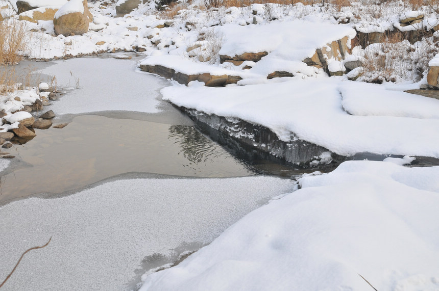 DSC_1356.jpg