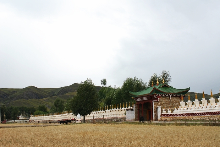 DSC_1419.jpg