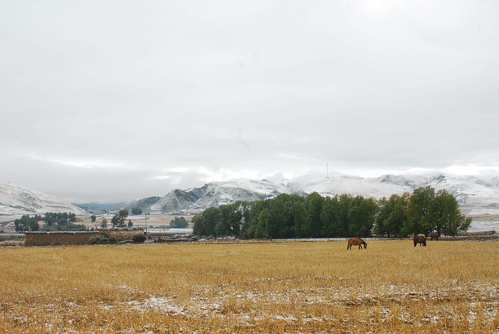 DSC_1503.jpg