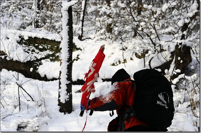 雪后昆嵛山 118.jpg