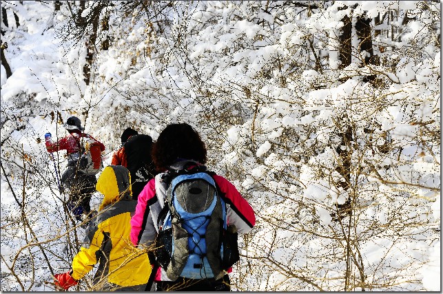 雪后昆嵛山 127.jpg