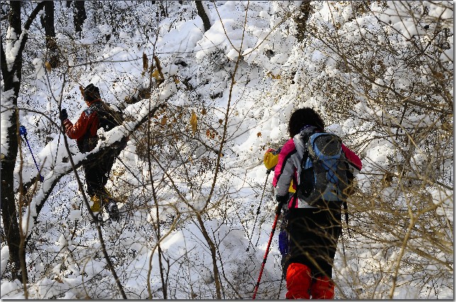 雪后昆嵛山 130.jpg