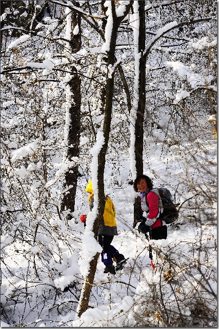 雪后昆嵛山 137.jpg