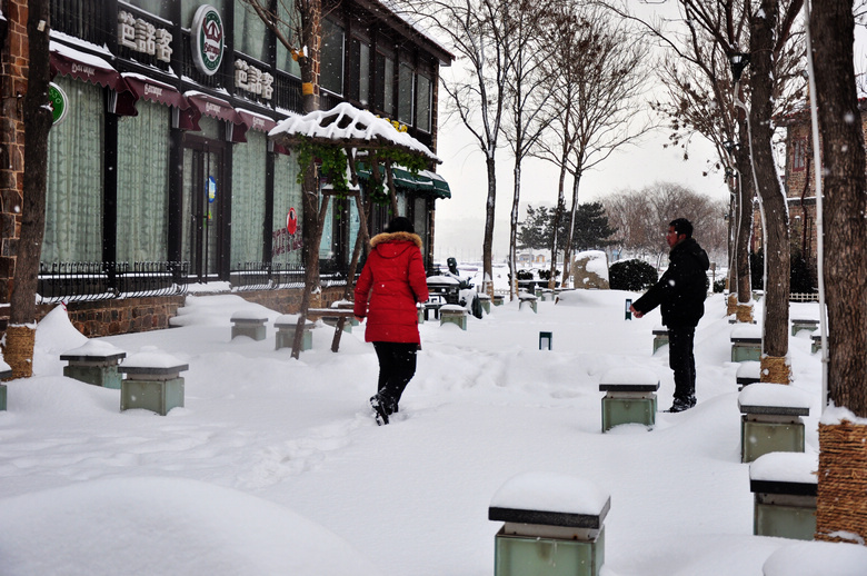 滨海路雪后2 039.jpg