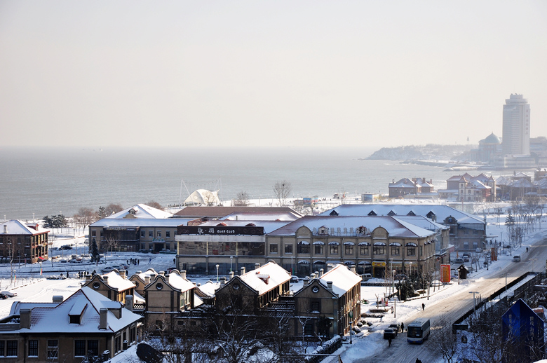 滨海路雪后 007.jpg