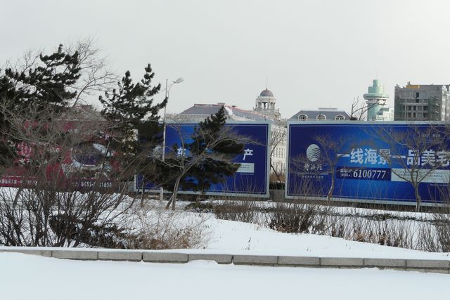 P1340553.jpg