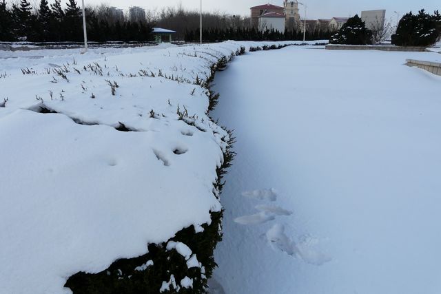 P1340550.jpg