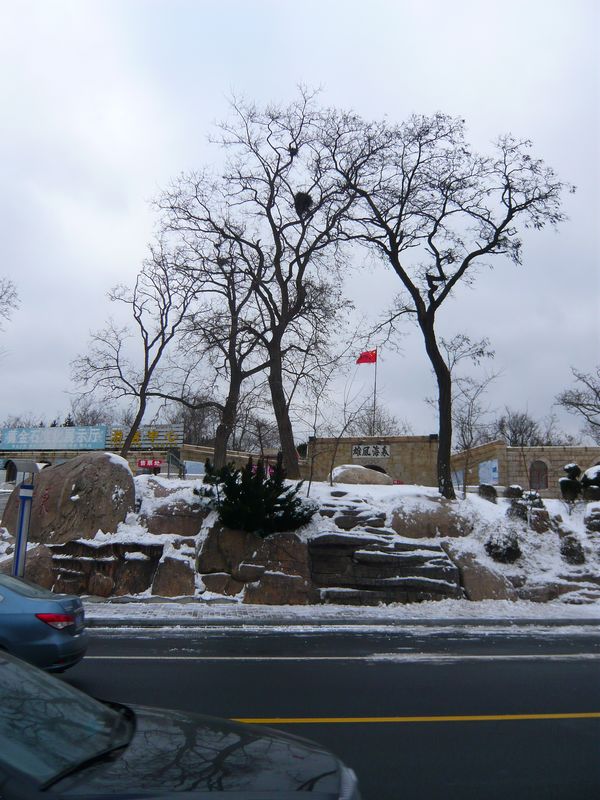 P1020970.JPG