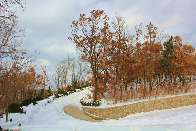 元旦登南山 171.j01pg.j02pg.jpg
