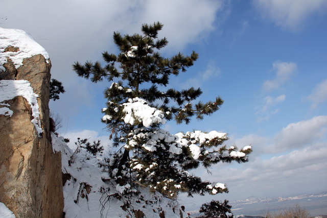 元旦登南山 156.jp01g.j02pg.jpg
