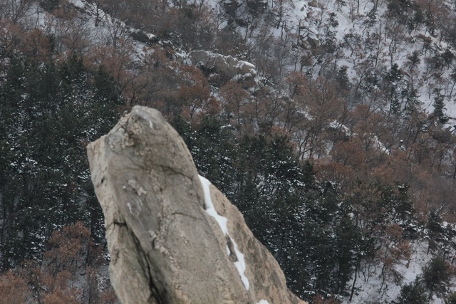 元旦登南山 139.jp02g.jpg