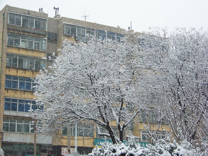 101_0983_缩小大小.JPG