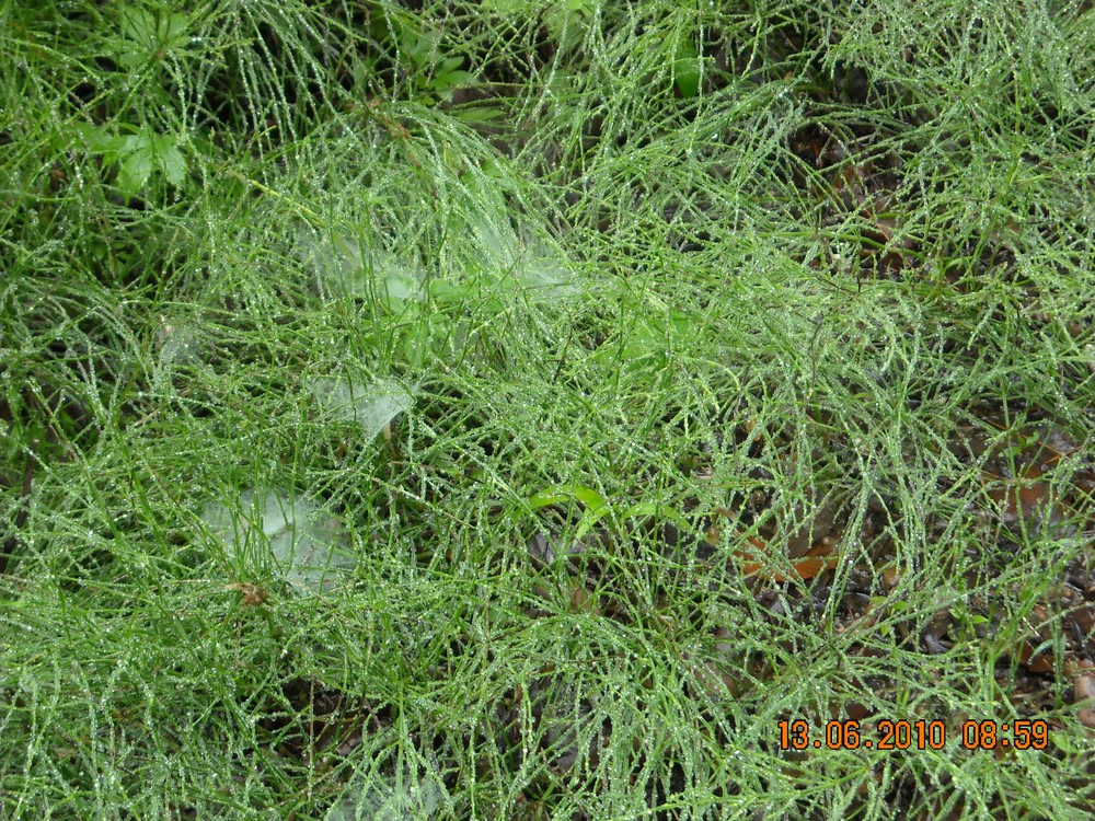 DSCN0995.jpg