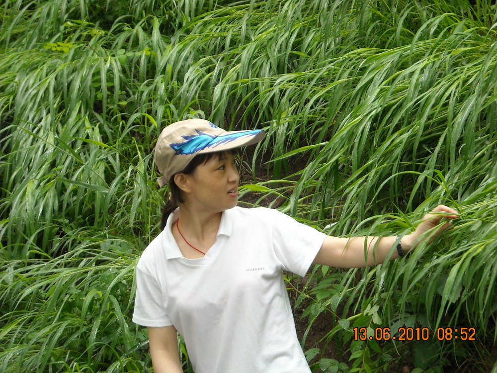 DSCN0988.jpg