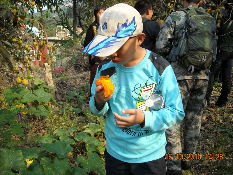 DSCN0122.jpg
