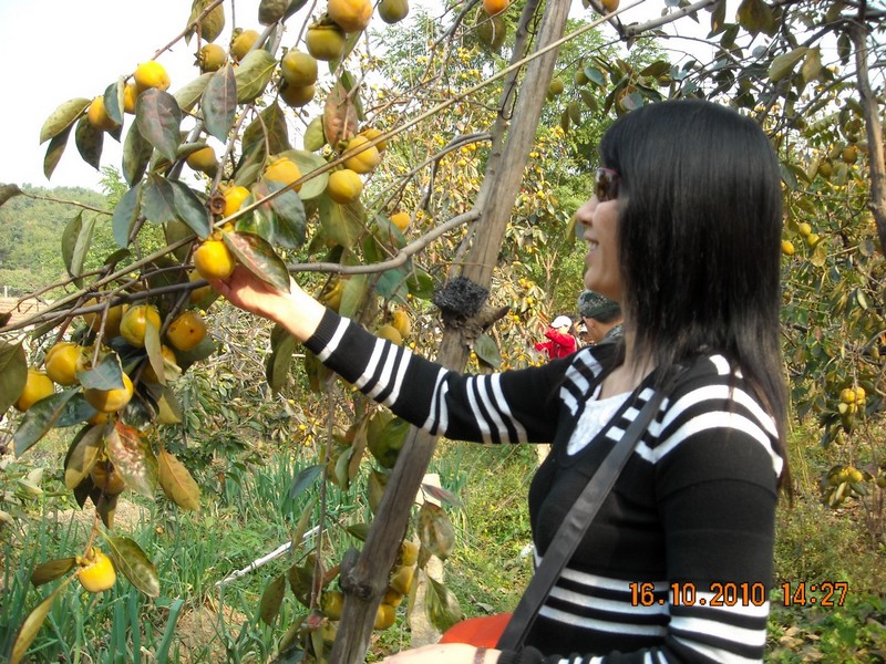DSCN0120.jpg