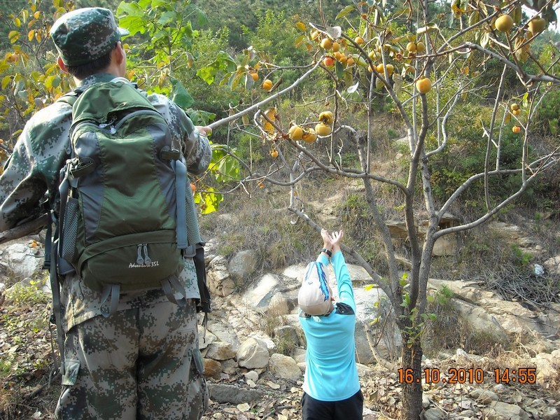 DSCN0145.jpg