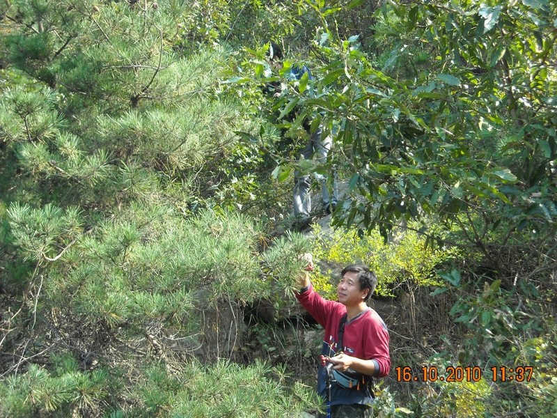 DSCN0094.jpg