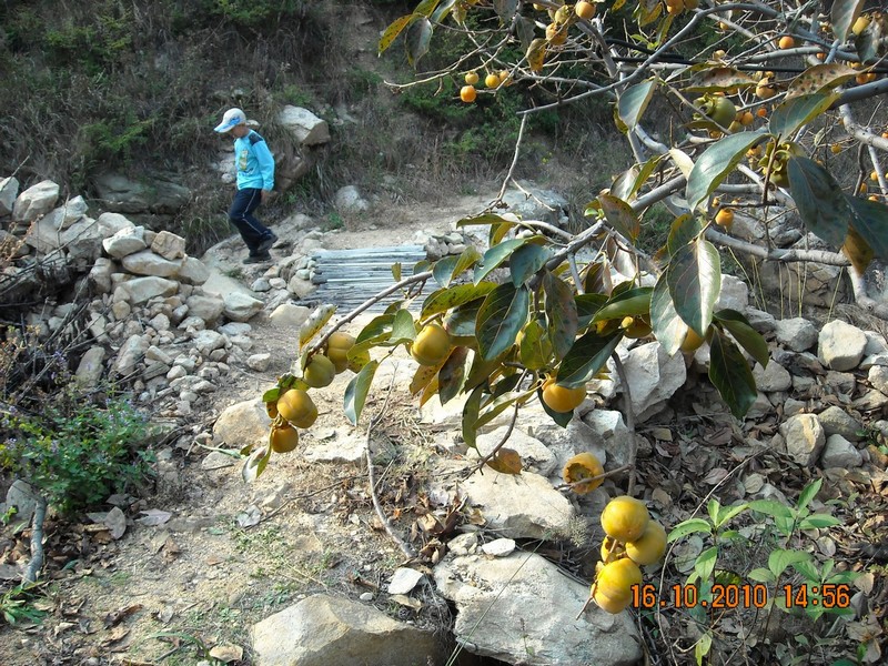 DSCN0148.jpg
