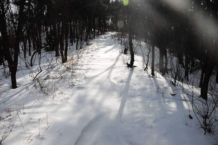 DSC_2392.jpg