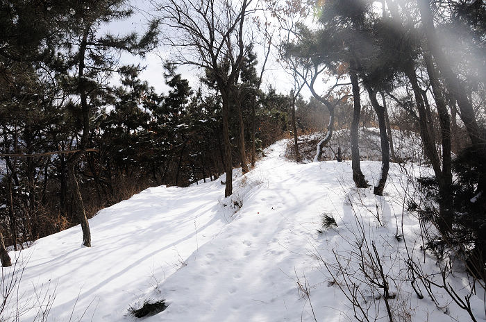 DSC_2396.jpg