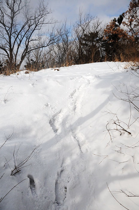 DSC_2397.jpg