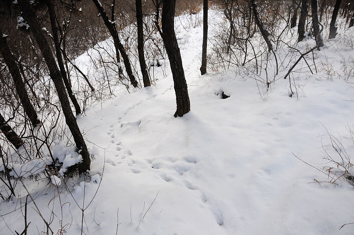 DSC_2401.jpg
