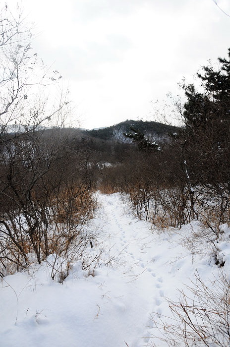 DSC_2402.jpg