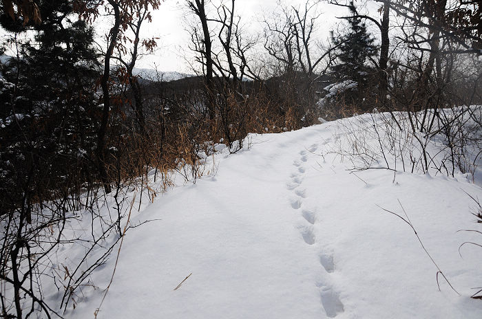 DSC_2400.jpg
