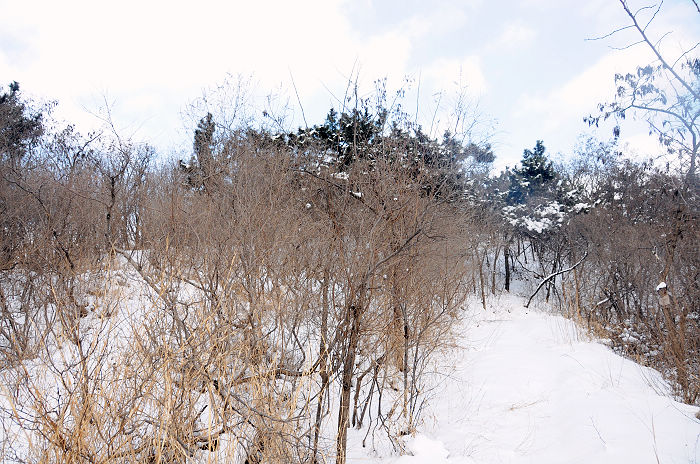 DSC_2403.jpg