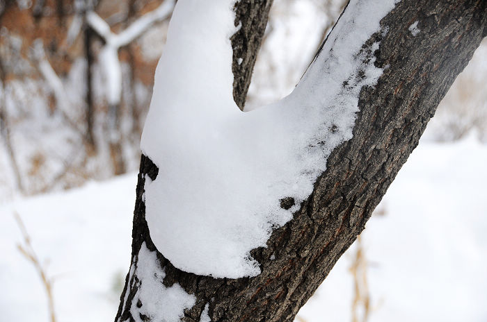 DSC_2433.jpg