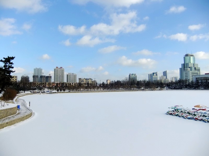 DSCF7006.jpg