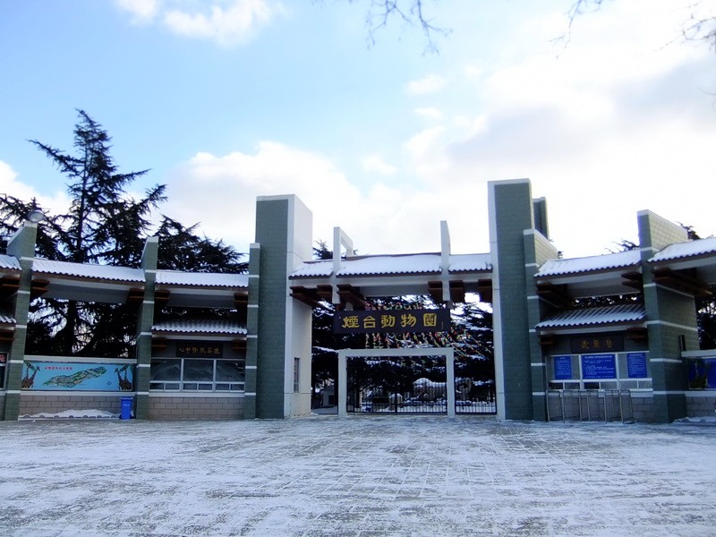 DSCF7050.jpg