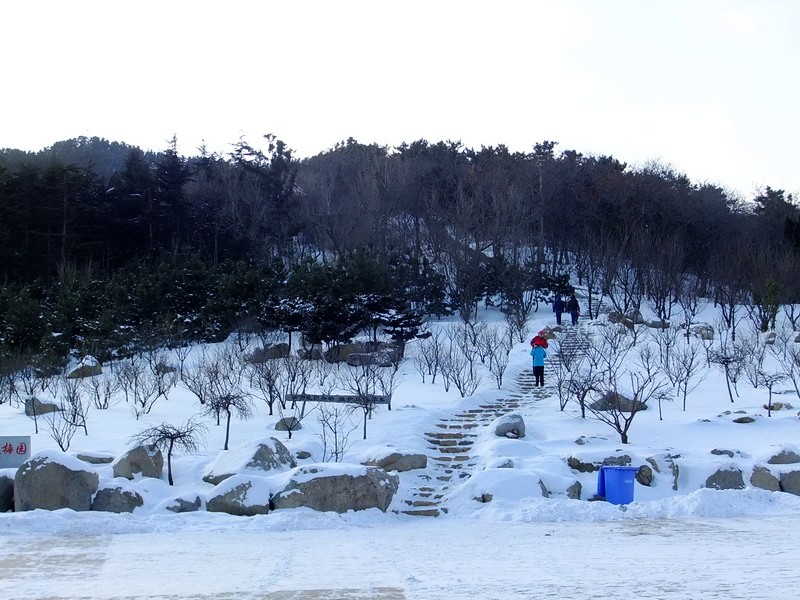 DSCF7053.jpg