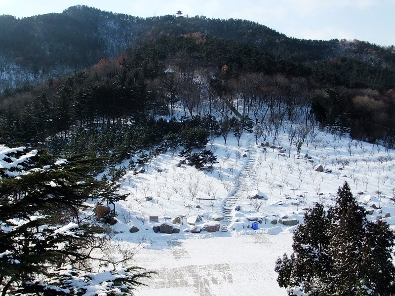 DSCF7059.jpg