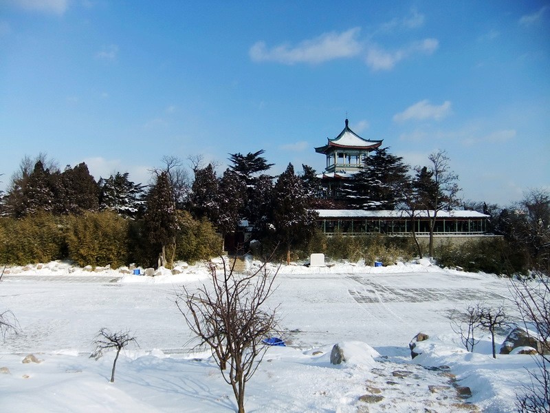 DSCF7074.jpg