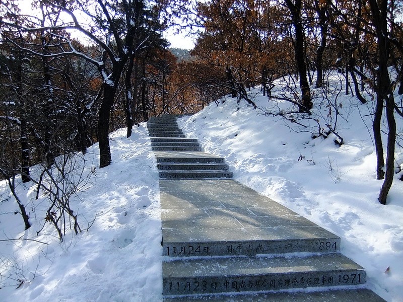 DSCF7078.jpg