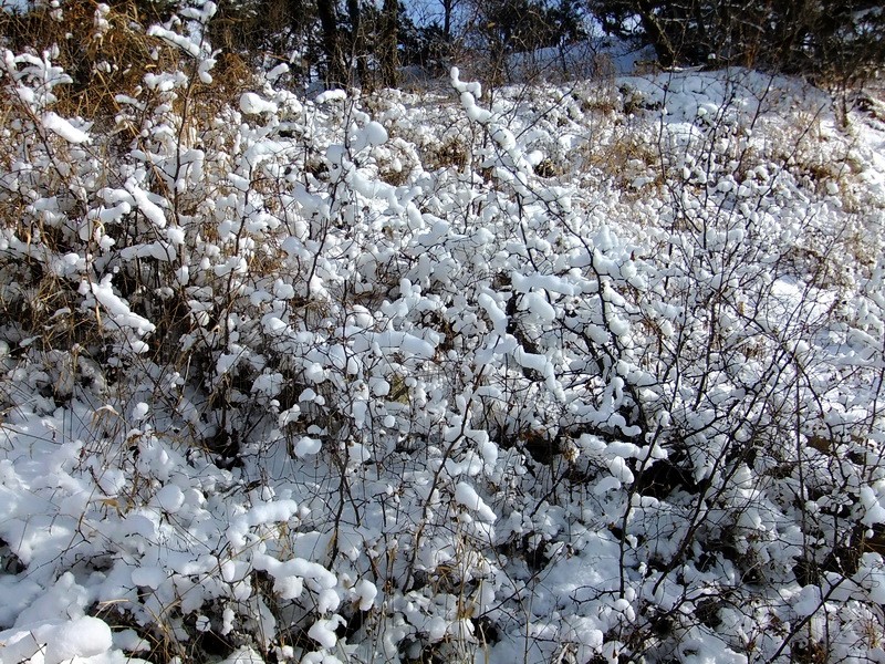 DSCF7094.jpg