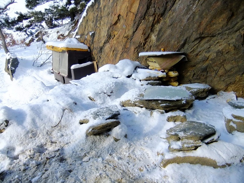 DSCF7099.jpg