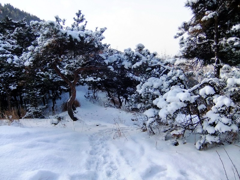 DSCF7101.jpg
