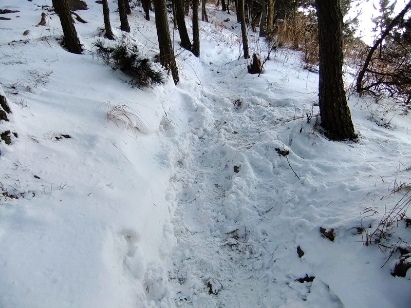 DSCF7102.jpg