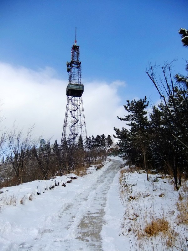 DSCF7106.jpg